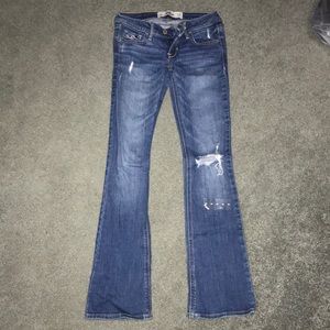 Brand New Hollister Bootcut Low Rise Jeans